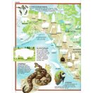 Képes atlasz gyermekeknek - Állatok a világban matricákkal