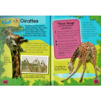 My Day at the Zoo