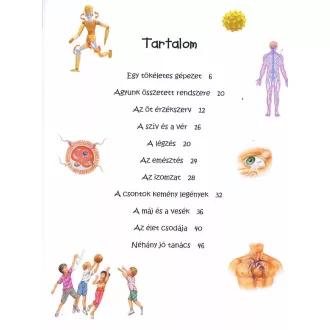 101 dolog, amit jó, ha tudsz az emberi testről