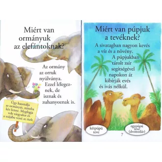 Olvass velünk! (1) - Kérdések az állatokról