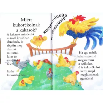 Olvass velünk! (1) - Kérdések az állatokról