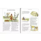 Képes Biblia