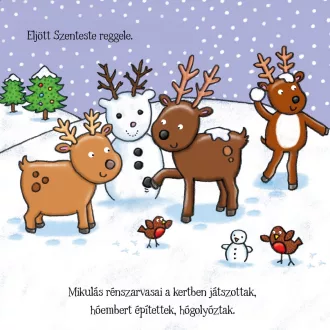   Téli történetek: simogasd meg - A kicsi rénszarvas választása