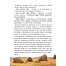 Ubukubu Zűrkalandjai 1. - Űrszörnyű és a különleges képességek