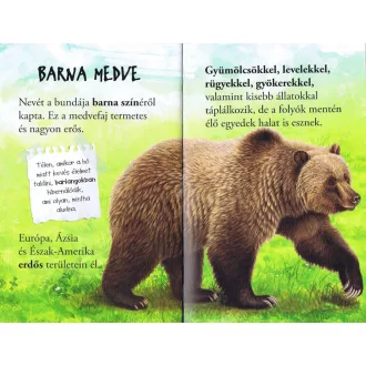Olvass velünk! (1) - A medvék világa