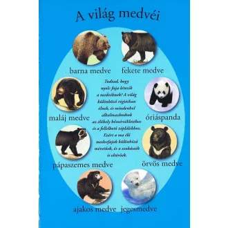 Olvass velünk! (1) - A medvék világa