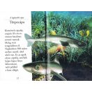 Olvass velünk! (2) - A cápák világa