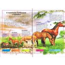Olvass velünk! (3) - A lovak története
