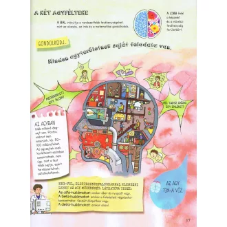 Szórakoztató tudomány - Az emberi test csodája