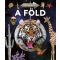 Fedezd fel! - A Föld