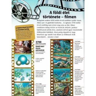 Az emberiség története - A kezdetek
