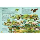 101 dolog, amit jó, ha tudsz a vízi élőhelyek állatairól