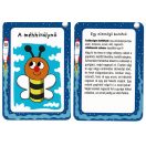 52 kártya játékokkal 4.