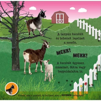 Hallgasd meg a hangomat! - A tanya hangjai