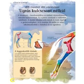A lovak enciklopédiája