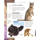 Legjobb barátunk, a macska