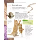 Legjobb barátunk, a macska