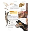 Legjobb barátunk, a macska