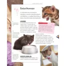 Legjobb barátunk, a macska