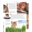 Legjobb barátunk, a macska