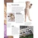 Legjobb barátunk, a macska