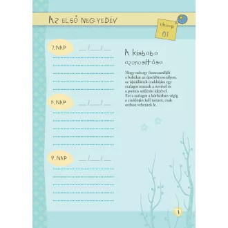 Napló a babám első évéről (lányos)