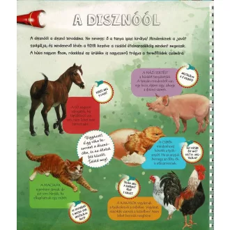 Zseblámpával - A tanyán