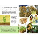 Olvass velünk! (2) - A növények titkai