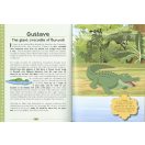 Tiny Little Stories of Animals