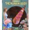 Torch Book - The Human Body