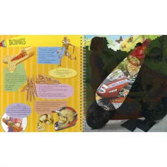 Torch Book - The Human Body