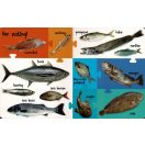 My First 100 Words - Sea Animals
