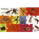 My First 100 Words - Sea Animals
