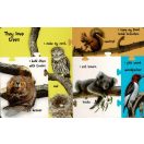 My First 100 Words - Forest Animals