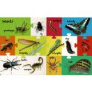 My First 100 Words - Farm and Field Animals