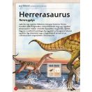 Varázslatos útmutató a dinoszauruszokhoz