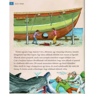 Nemo kapitány