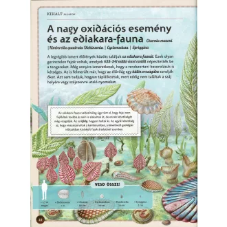 Varázslatos útmutató a kihalt állatokhoz
