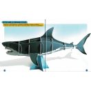 Nézd meg belülről - Cápák