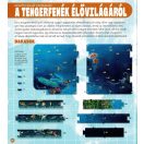 Dioráma - Tengeri állatvilág