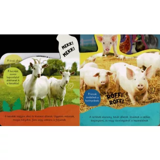 Milyen a hangja? - Tanyasi állatok