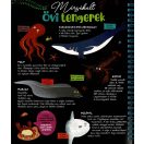 Csodalámpa - Tengeri állatok