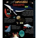 Csodalámpa - Tengeri állatok