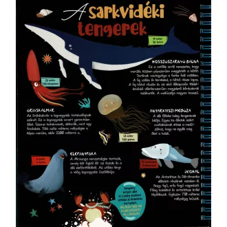 Csodalámpa - Tengeri állatok