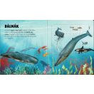 Szuper puzzle - Tengeri állatok