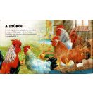 Szuper puzzle - A tanya állatai