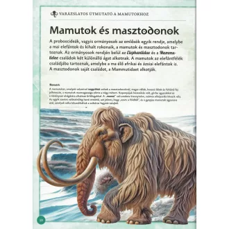 Varázslatos útmutató  a mamutokhoz