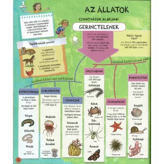 Állatok a világ körül
