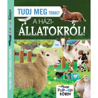 Tudj meg többet háziállatokról!