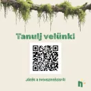 Varázslatos útmutató a fákhoz